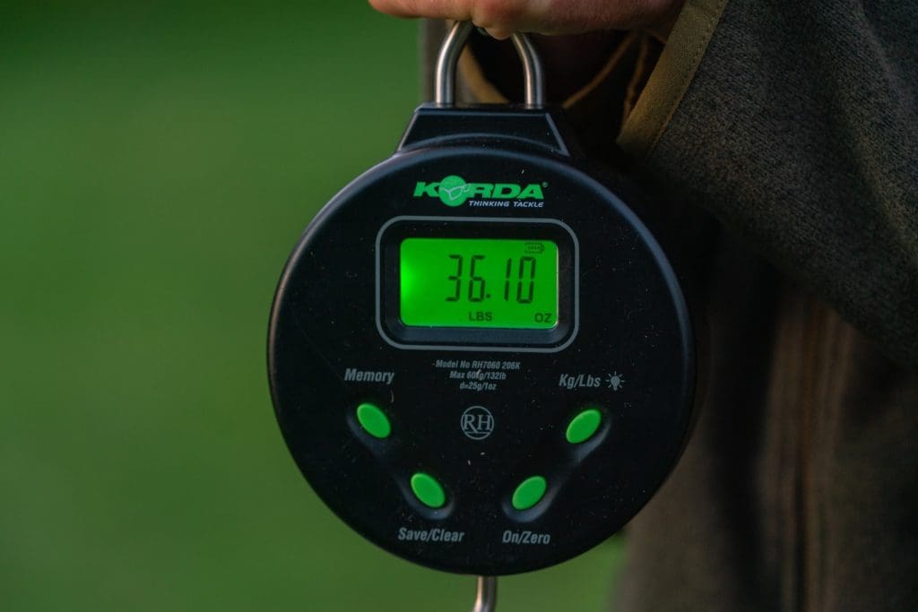 Digital Scale 132lb/60kg