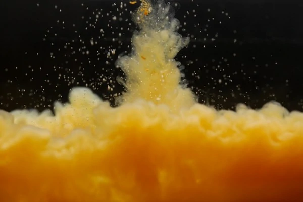 Sticky Baits Pure Calanus Hydro 500ml - Image 2