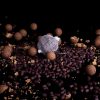 The Bug Pellets - Image 3