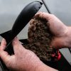 The Bug Pellets - Image 4