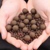 The Bug Pellets - Image 5