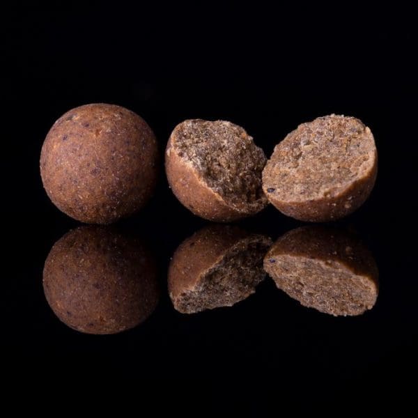 DNA Baits - The Bug - Shelf Life Baits